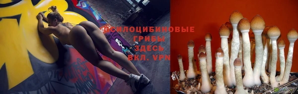гашишное масло Алексеевка