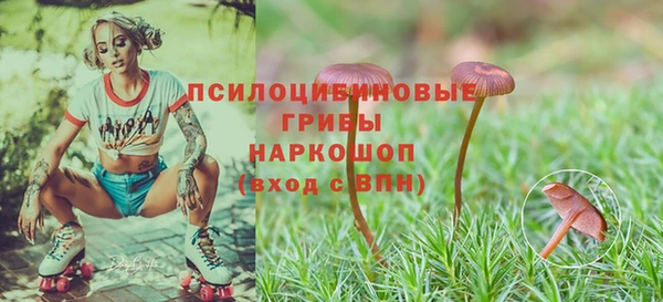 кокаин колумбия Алзамай