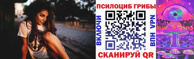 Псилоцибиновые грибы Psilocybe  Алексеевка 