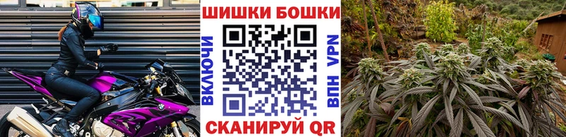 где можно купить наркотик  Алексеевка  Конопля семена 